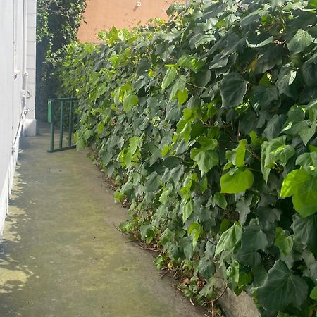 Casa Elisa 8 Villa Bellaria-Igea Marina Eksteriør bilde