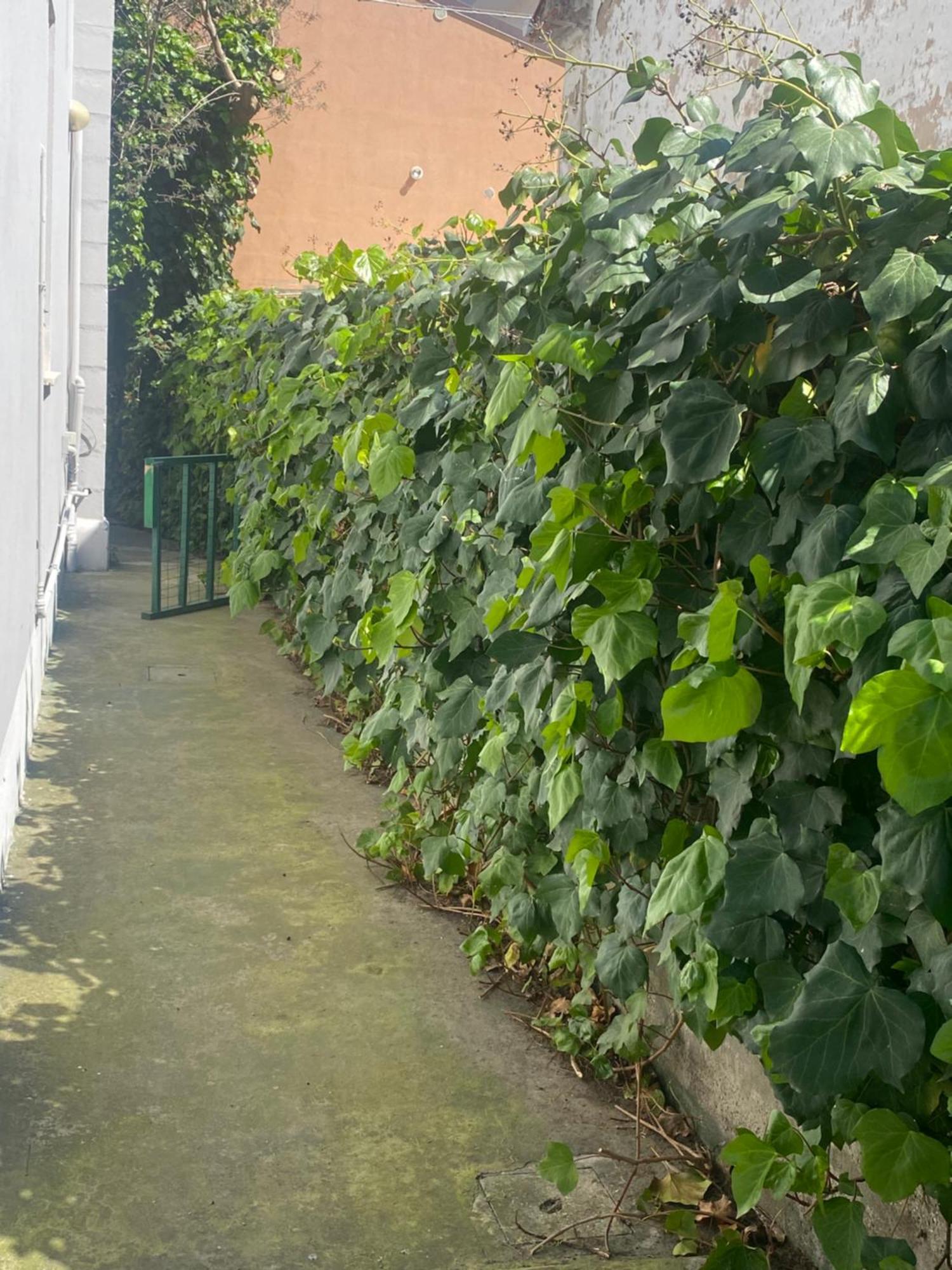Casa Elisa 8 Villa Bellaria-Igea Marina Eksteriør bilde