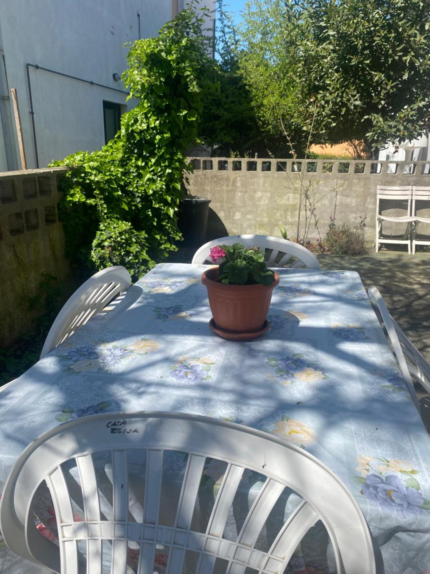 Casa Elisa 8 Villa Bellaria-Igea Marina Eksteriør bilde